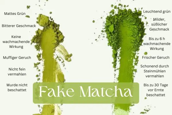 Vergleich von echtem und falschem Matcha: Echter Matcha hat leuchtend grüne Farbe, milder Geschmack und belebende matcha eigenschaften.