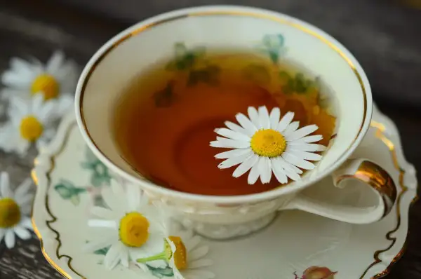 Eine Tasse Kamillentee mit einer Margeritenblüte. Die Frage, wie lange muss Kamillentee ziehen, wird hier visuell beantwortet: kurz genug, damit die Blüte schwimmt.
