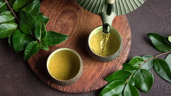 Grüner Tee wird in zwei Schalen gegossen. Welcher Tee ist antibakteriell? Grüner Tee ist bekannt für seine gesundheitlichen Vorteile.