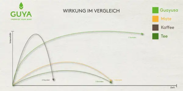 Vergleich der teein wirkung: Guayusa, Mate, Kaffee und Tee. Die Grafik zeigt die Intensität über die Zeit.